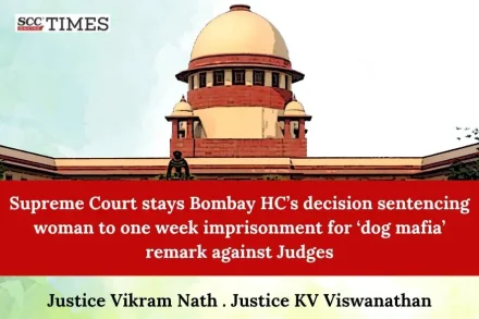 Dog Mafia Judges