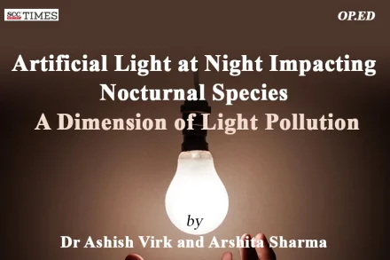 Light Pollution