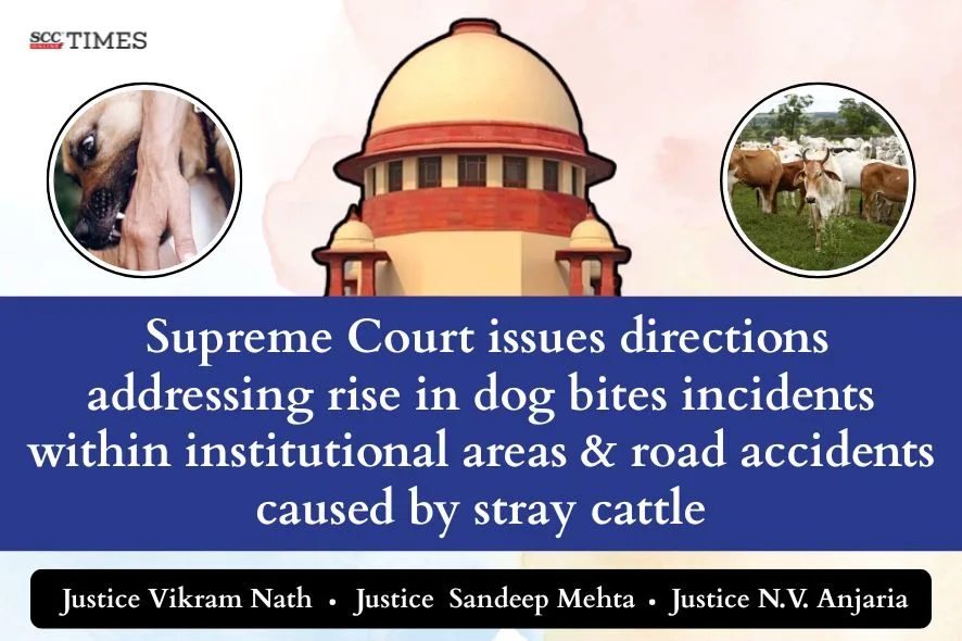 rise in dog bites incidents